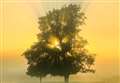 Still time to enter artwork into New Beginnings community exhibition
