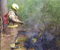 Cigarette sparks Burghfield woodland fire