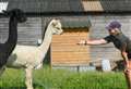 Farm park revamp approved