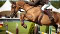 Event rider opens stable door