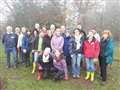 New trees mark 150th anniversary of Newbury-based firm