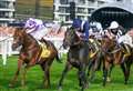 Newbury's chief exec responds to final race withdrawal