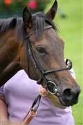 Injured Jockey Fund founder dies