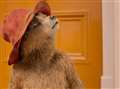Bear in the frame