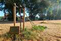Covid memorial trees found snapped in half