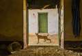 Natural History Museum Wildlife Photographer of the Year 57 opens at The Base
