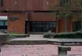 Woman admits ABH assault