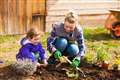 Lockdown is the perfect opportunity to get children into gardening
