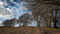 A walk to Ladle Hill