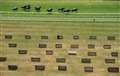 Racing needs to get crowds back - Newbury Racecourse