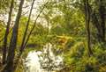 Moor Copse part of £6m wildlife restoration project