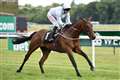 Peckham hoping Kestrel can fly at Newbury