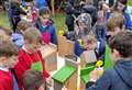 Schoolchildren learn about nature during springtime at country estate