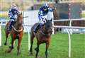 Booster Bob seals unlikely win in Greatwood Gold Cup