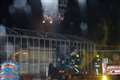 Hundreds of reptiles perish in garden centre blaze