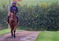 Stable Talk: Future is bright for hard-working Muir