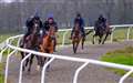 Stable Talk: Harry’s Cheltenham dream 