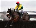 Grand National runner-up Magic Of Light claims second win