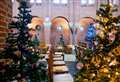 Magical trees display is all for a good cause