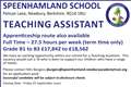 TEACHING ASSISTANT REQUIRED