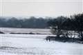 Met Office predicts more snow this evening 