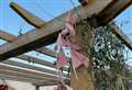 Damage caused to sensory garden