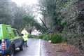 B4640 currently closed due to fallen tree and cables 