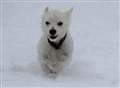 Pictures of snow from across West Berkshire