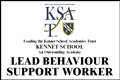Lead Behaviour Support Worker