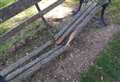 Vandals damage bench