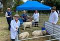 Popular country fair returns next month