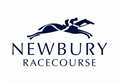 High-rise Newbury Racecourse plans up for approval