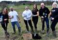 Trees grow, where the community goes