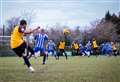Kingfishers on the rise