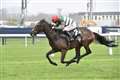 Maximiser set for Newbury return 