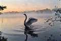 Wildlife photography winners and finalists on show at Greenham