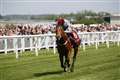Bunyan hoping Hit The Bid can reach the heights in Dubai Duty Free Mill Reef Stakes at Newbury