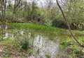 My Newbury: Kintbury nature reserve