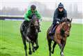 Constitution Hill ‘works beautifully’ ahead of Cheltenham run