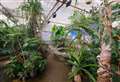 The Living Rainforest to build UK’s first zero-carbon rainforest facility