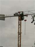 BREAKING NEWS - Man threatening to jump from a crane in Parkway