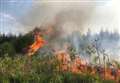 COP27: After heatwaves, fires and drought can this year's crunch climate summit spark change?