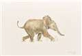 Ramsbury artist hopes Kenyan wildlife images 'will inspire in others, what the bush has inspired in me'.