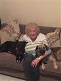 Dog reunited with owner a month after escaping from M4 crash