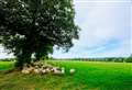 Hampshire named the best place to buy second home in the UK