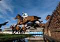 Paisley Park to gallop at Newbury 