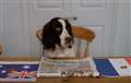 See who Tilly thinks will win France vs Australia World Cup clash