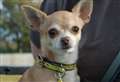 Can you rescue this little princess?