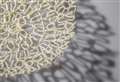 Contemporary Art Fair at Racecourse this weekend