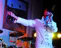 Elvis alive and partying in Hungerford